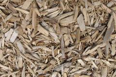 biomass boilers Ballards Ash